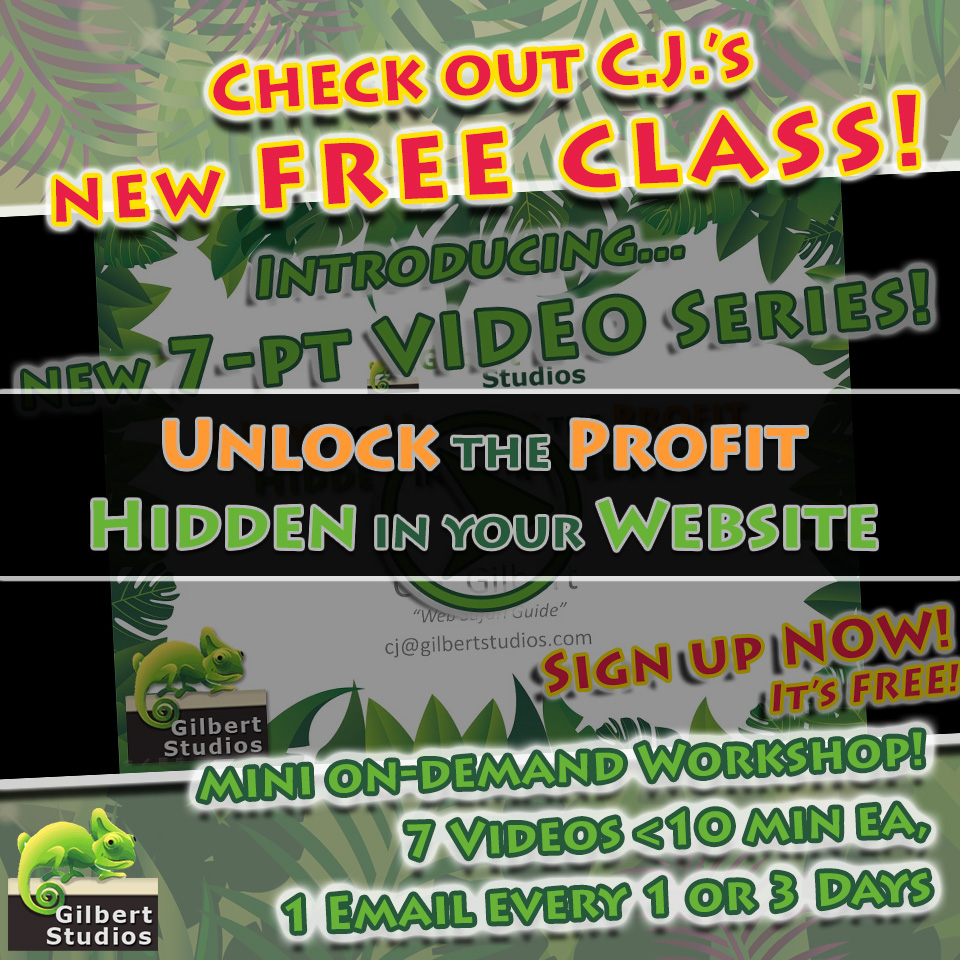 Get CJ's Free Video Workshop!